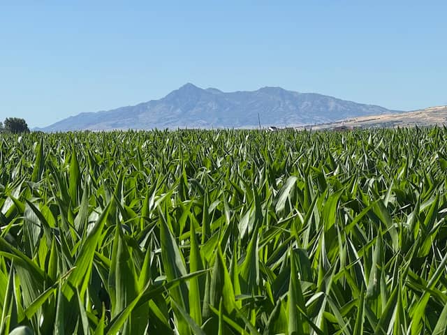 Honeyville, UT - Image 1