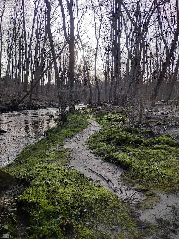 Gristmill Open Space - Image 2