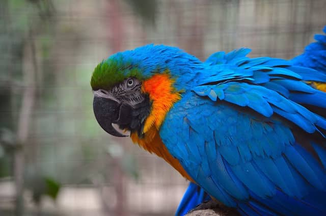 Zoo America - Image 1