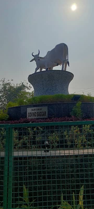 Gau mata chowk Patiala - Image 2