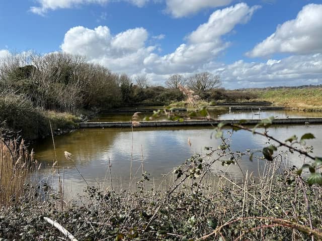 Egret Pools - Image 1