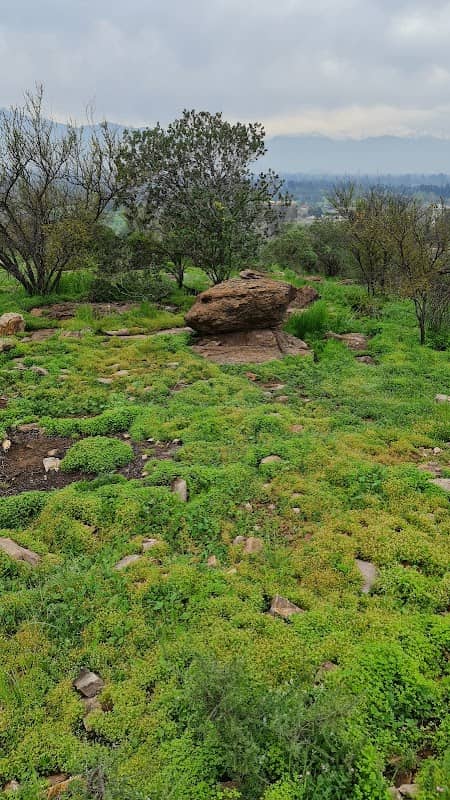 Rincón de la Poza - Image 1