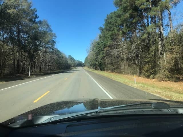 Moore Plantation WMA - Image 3