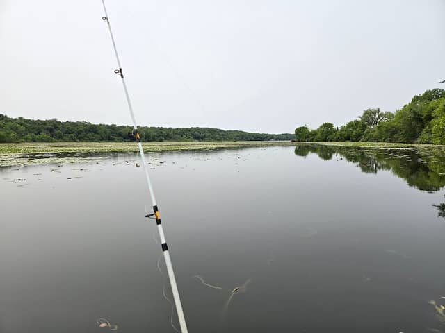 Spring Lake State Fish and Wildlife Area - Image 1