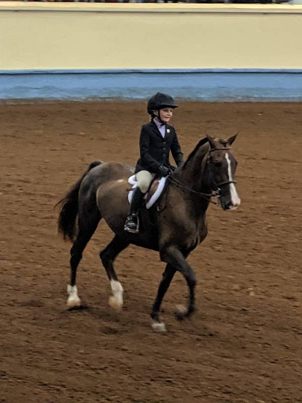 Majic Stable LLC - Image 2