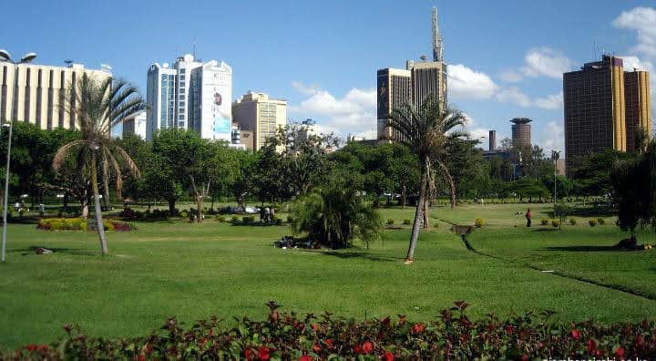 Central Park Nairobi - Image 2