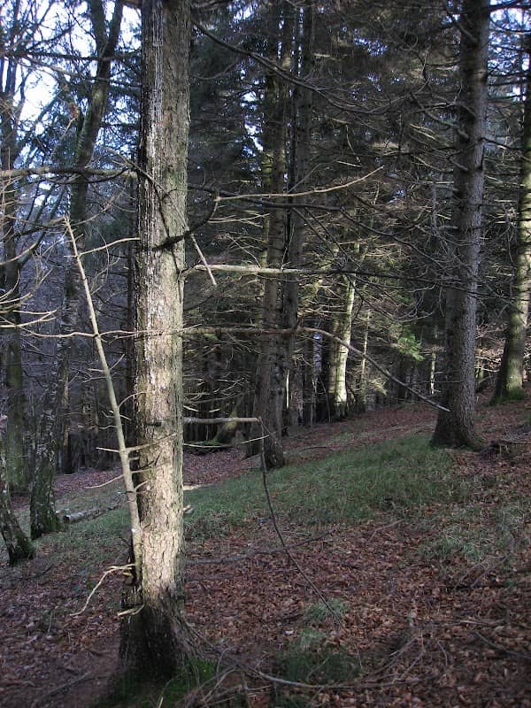 Monte Purga - Image 1