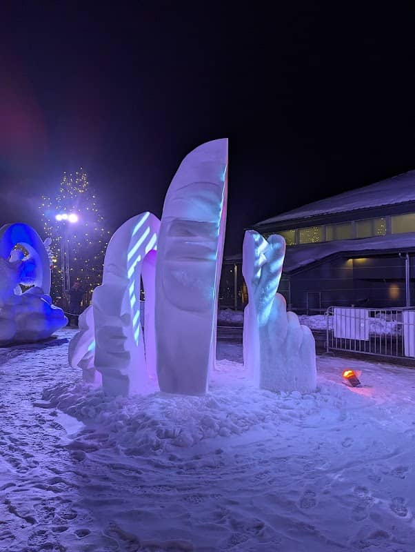 Breckenridge ice sculpture s - Image 3