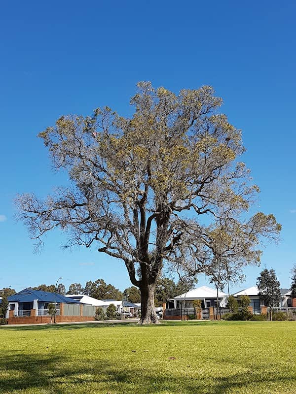 Veterans Park - Image 1