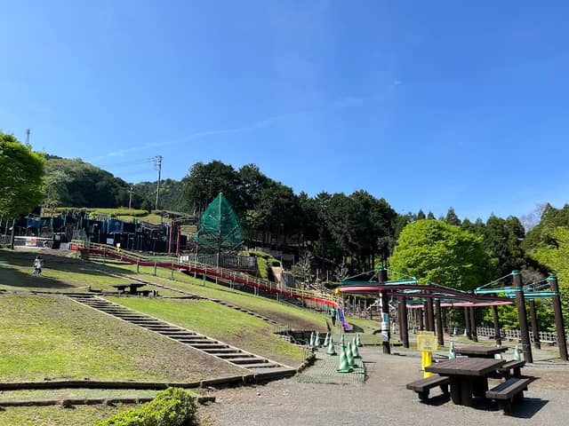 Adventure Forest - Image 2