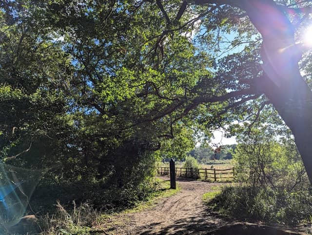 Mardyke Woods - Image 1