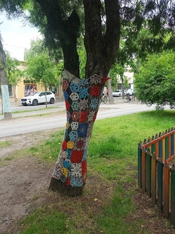 Kiskunhalasi Pulóveres Fák - Image 1