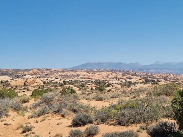 Courthouse Towers - Image 1
