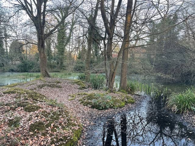 Barons Pond - Image 1