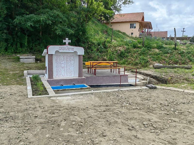Fântâna Cioclovina - Image 2