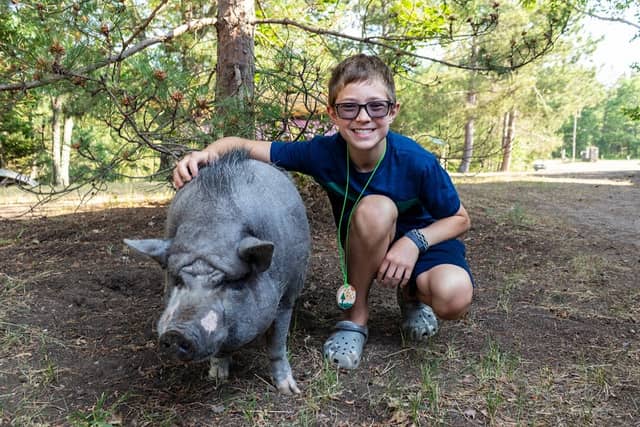Swift Nature Camp - Image 1