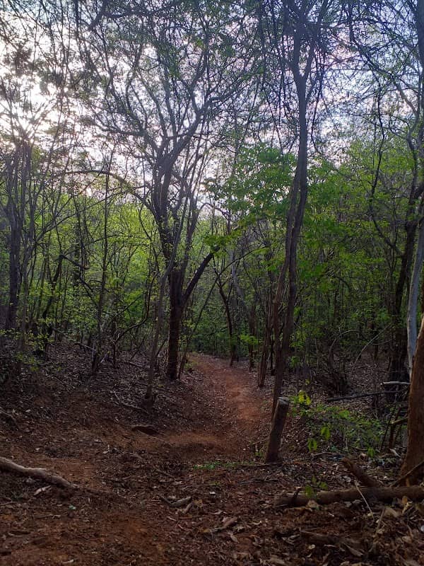 Bike park(morro da coruja) - Image 2