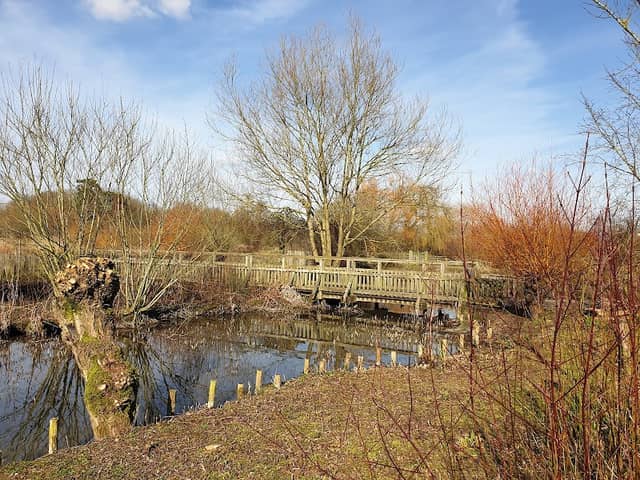Wader Shore - Image 1