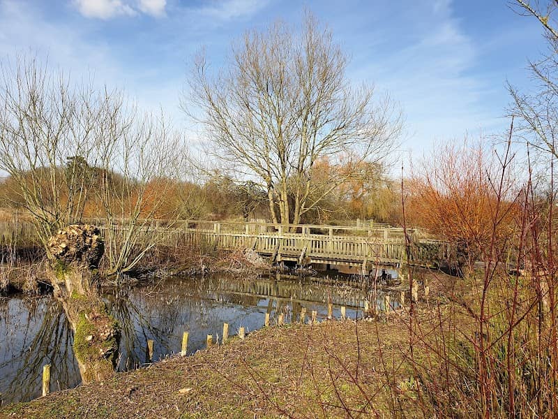 Wader Shore - Image 1