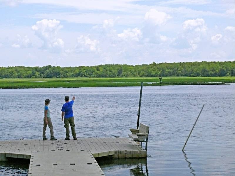 Maurice River Bluffs Preserve - Image 1