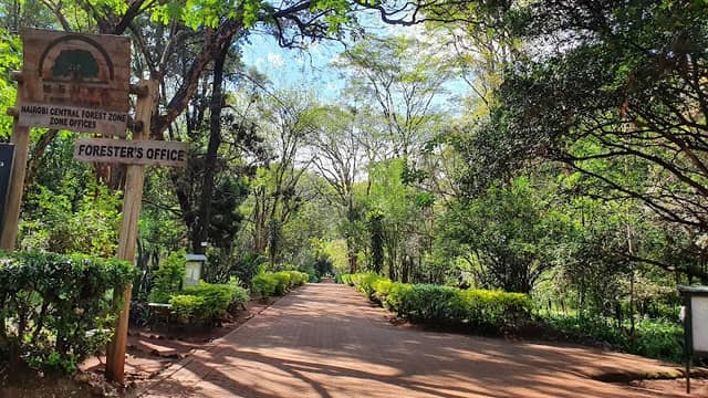 The Nairobi Arboretum - Image 1