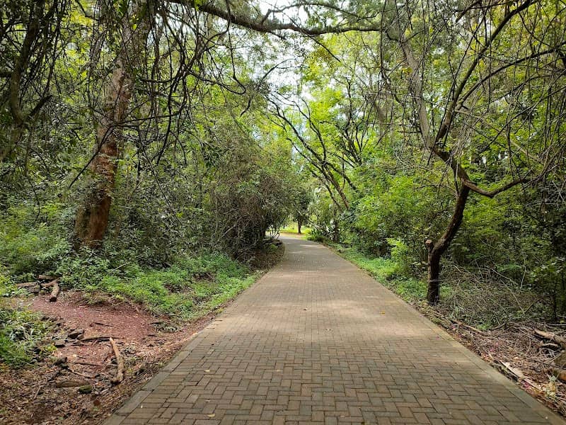 The Nairobi Arboretum - Image 2