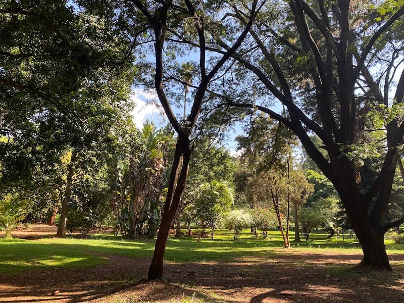 The Nairobi Arboretum - Image 1
