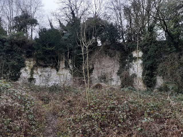 Cookham Dean Chalk Pit - Image 1