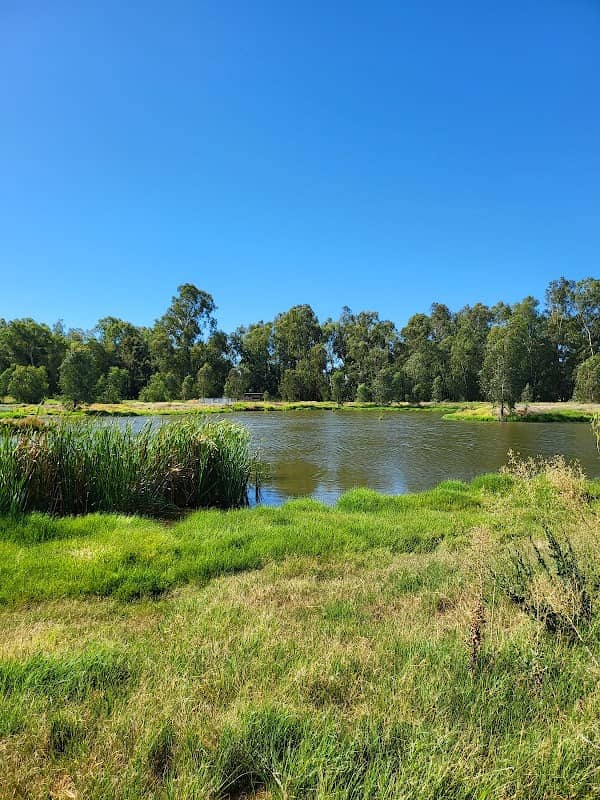 Marrambidya Wetland - Image 1