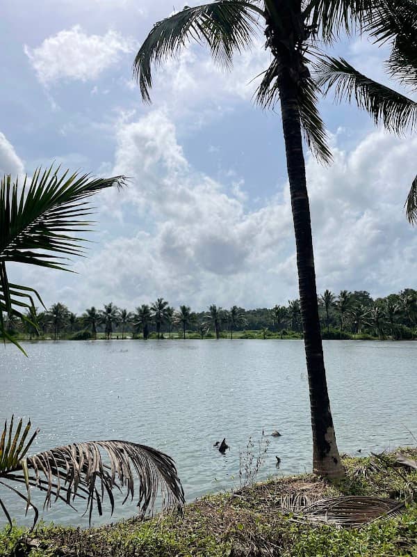 Kummatha - Image 1