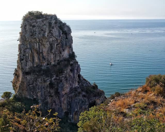 Pisco Montano - Image 1