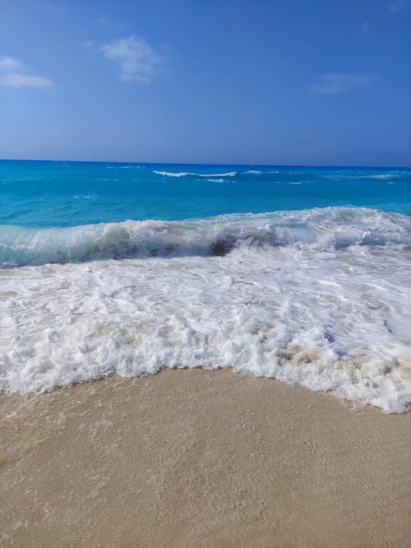 Sea path - Image 1