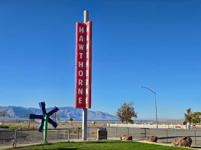 Dog park - Image 1