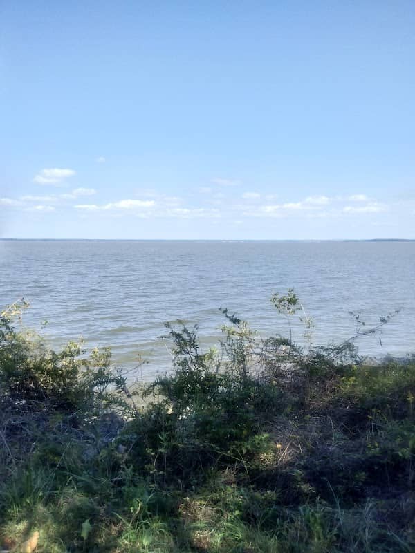Chippokes State Park Visitor Center - Image 1