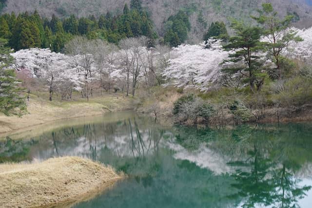 Ono Dam - Image 3