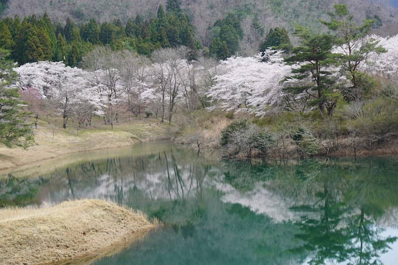 Ono Dam - Image 3