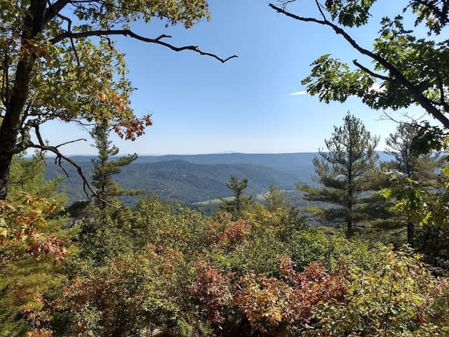 Townshend State Forest - Image 1