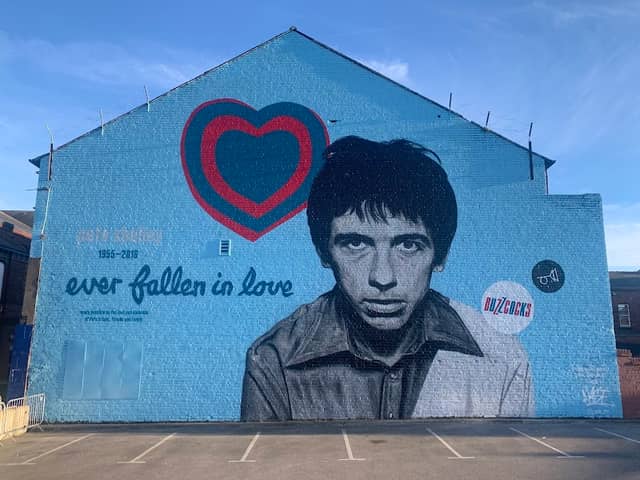 Pete Shelley Mural - Image 1