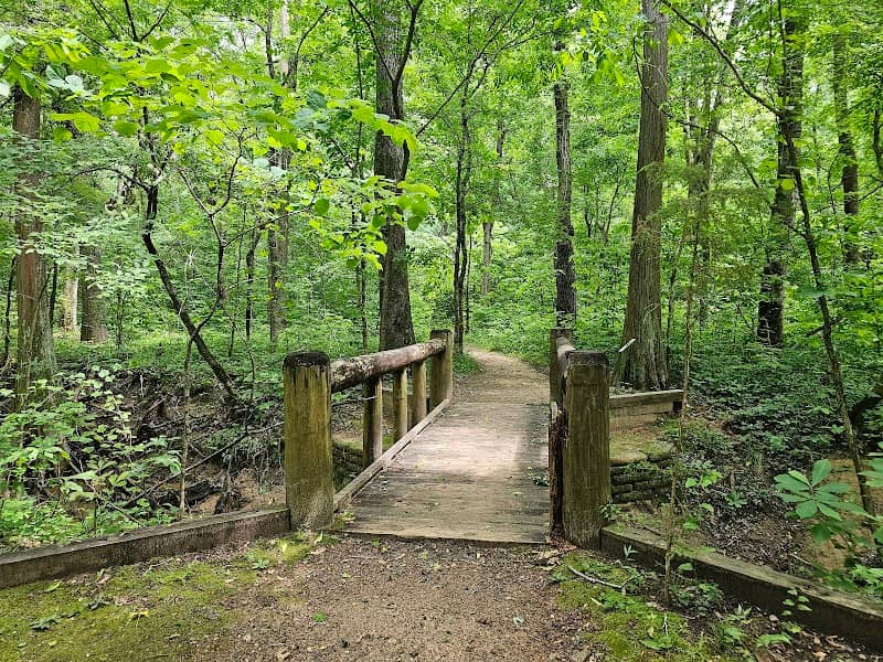 Caddo Lake State Park - Image 3