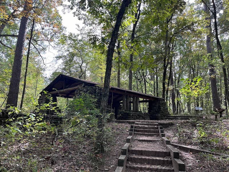 Caddo Lake State Park - Image 2