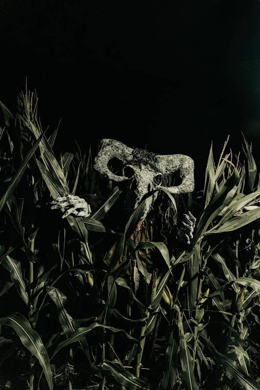 Total Terror Haunted Attraction - Image 1
