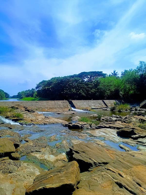 Gayathri puzha checkdam - Image 1