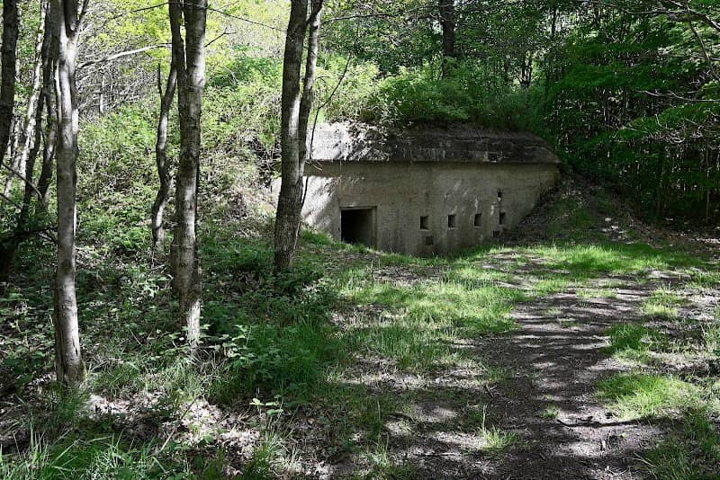 Andholm batteri - Image 1