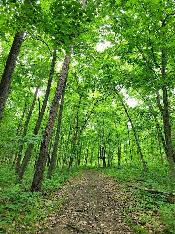 Chief Shabbona County Forest Preserve - Image 1