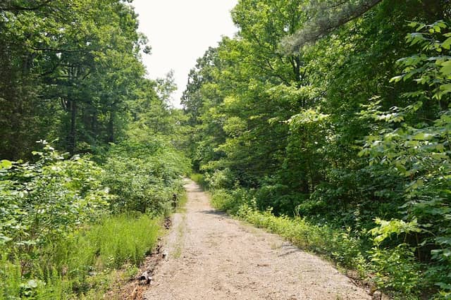 Butterflies & Blooms Trail - Image 1