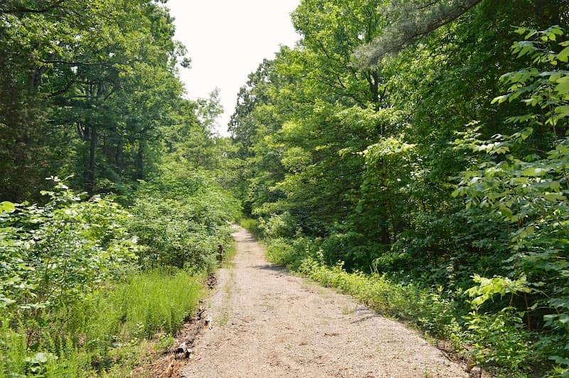 Butterflies & Blooms Trail - Image 1