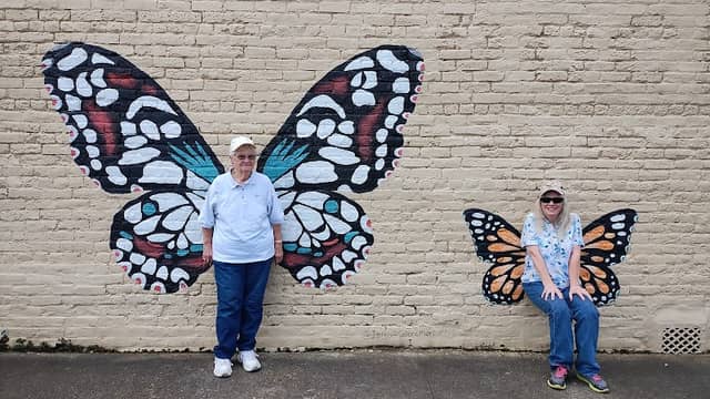 Butterfly murals - Image 1