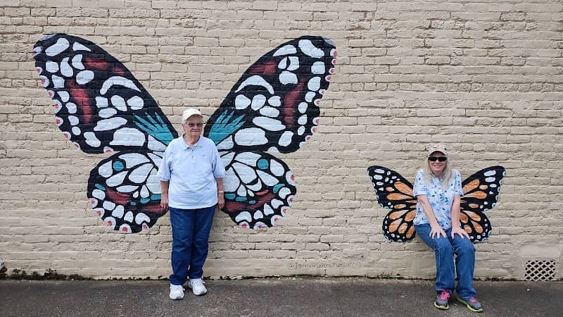 Butterfly murals - Image 1