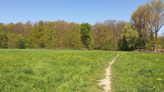Oberes Oelbachtal - Image 2