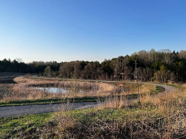Allangrove Park - Image 1